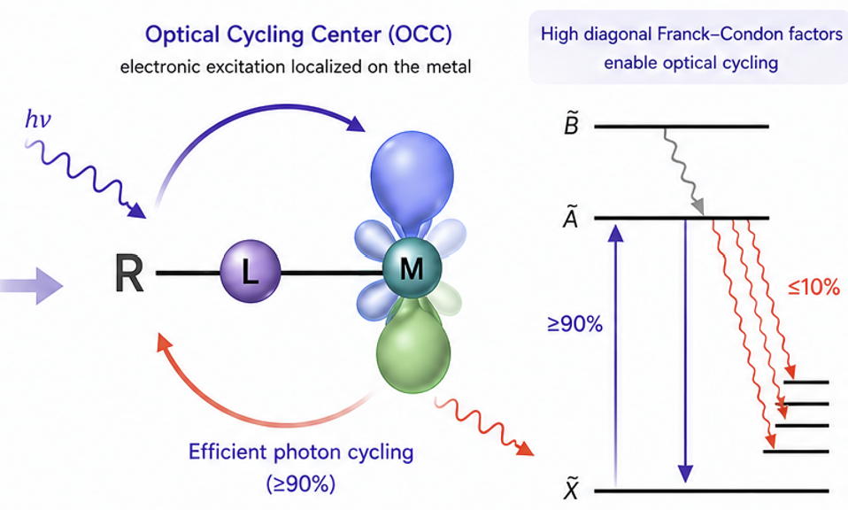 Optical cycling center molecular design illustration